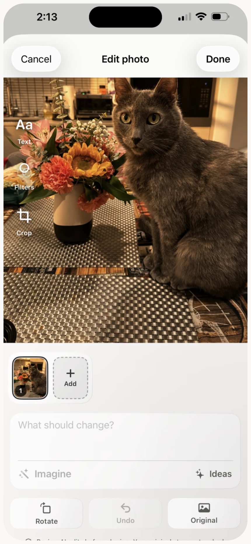 Zup photo editor with crop, filter, text, and Imagine controls